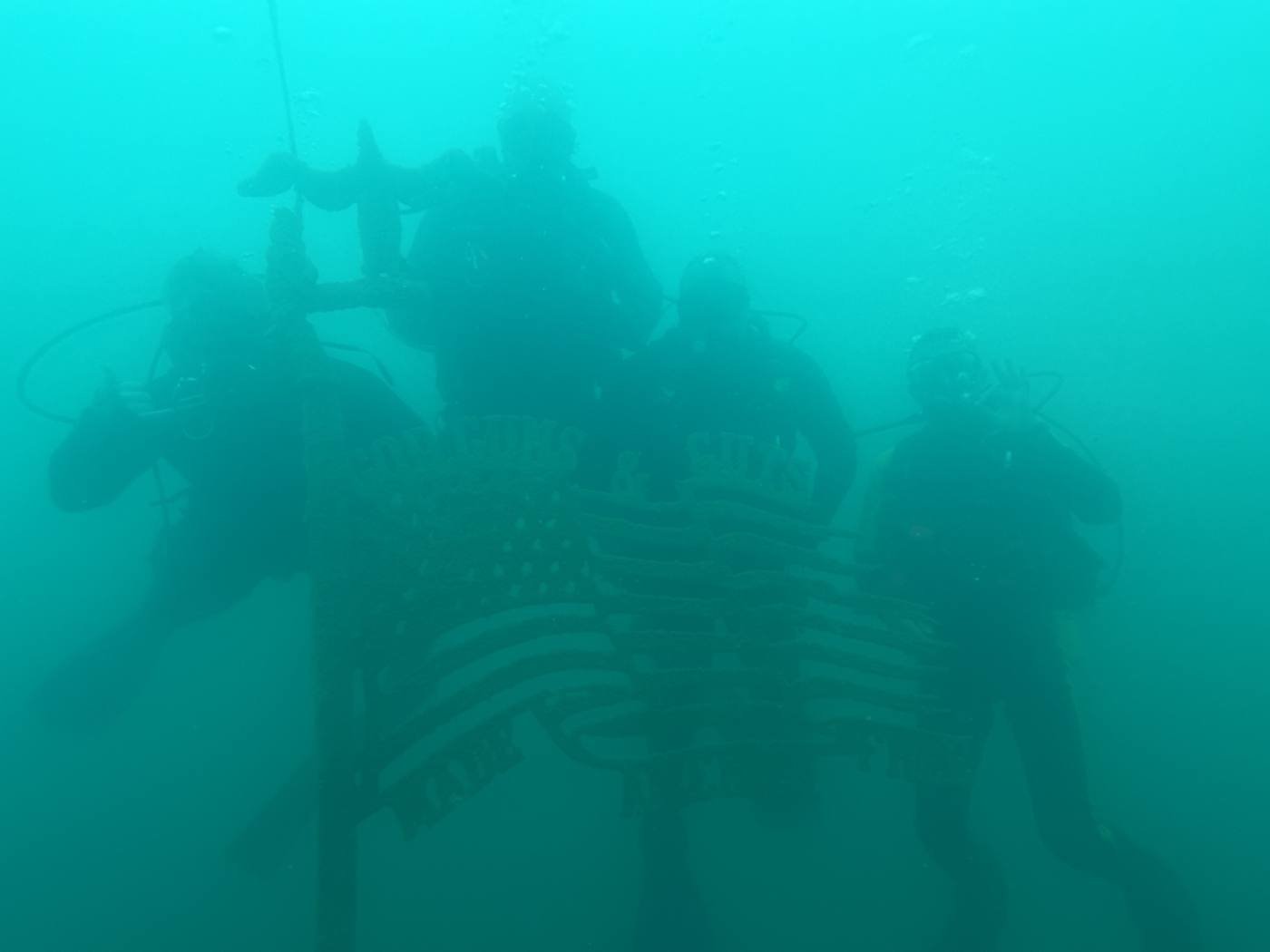 TSR divers underwater during training